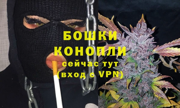 индика Волоколамск